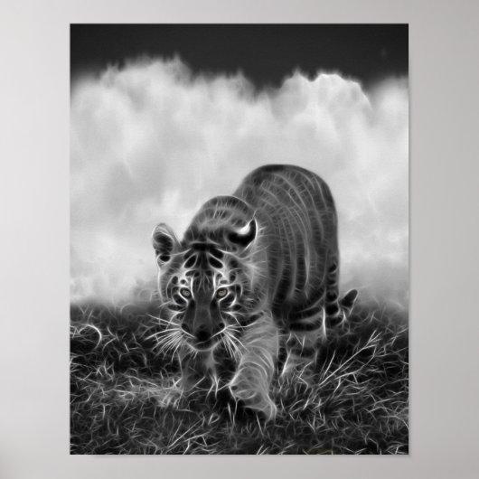 Baby Tiger Stalking in Schwarz-Weiß Poster (Vorne)