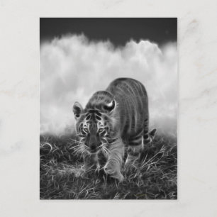 Baby Tiger Stalking in Schwarz-Weiß Postkarte