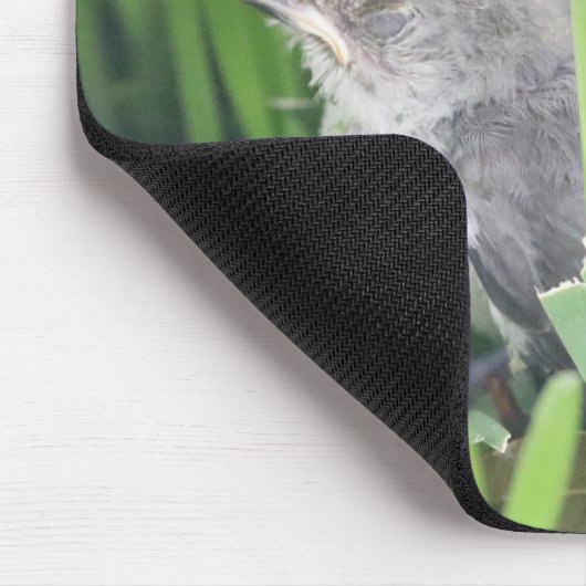 Baby Titmouse Ruhen Mousepad (Ecke)