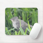 Baby Titmouse Ruhen Mousepad (Mit Mouse)