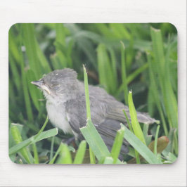 Baby Titmouse Ruhen Mousepad