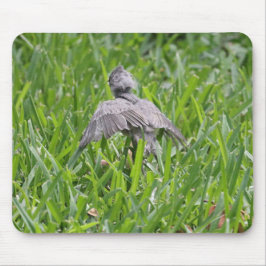Baby Titmouse zu fliegen lernen Mousepad