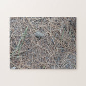 Baby Toad Jigsaw Puzzle (Horizontal)