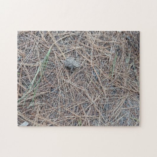 Baby Toad Jigsaw Puzzle (Horizontal)