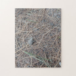 Baby Toad Jigsaw Puzzle