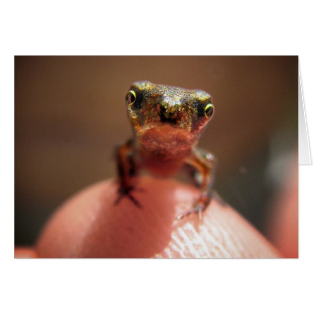 Baby Toad/Kaulquappe (Vorderseite (Horizontal))