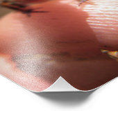 Baby Toad/Kaulquappe Fotodruck (Ecke)