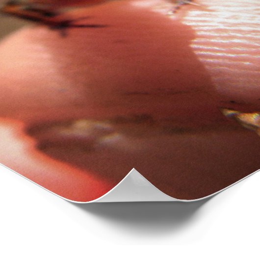 Baby Toad/Kaulquappe Poster (Ecke)