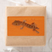 Baby Tokay Gecko (Insitu)