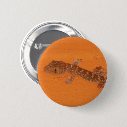 Baby Tokay Gecko Button (Vorne & Hinten)