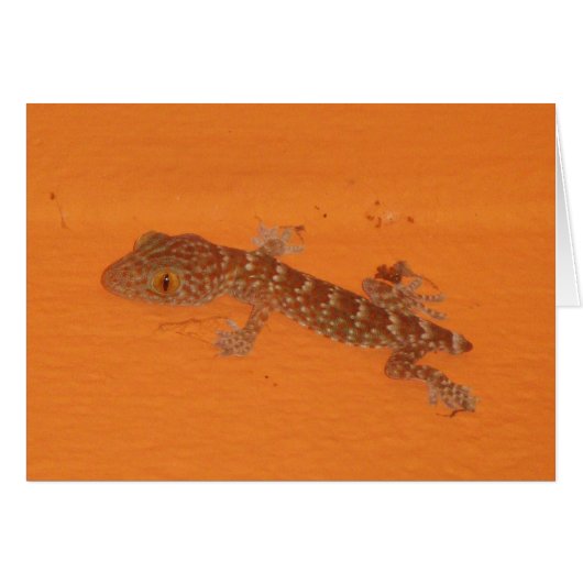 Baby Tokay Gecko Card (Vorderseite (Horizontal))