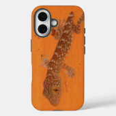 Baby Tokay Gecko Case-Mate iPhone Hülle (Rückseite)