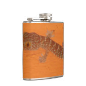 Baby Tokay Gecko Flachmann (Rechts)