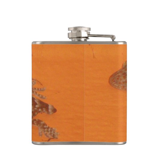 Baby Tokay Gecko Flachmann (Rückseite)