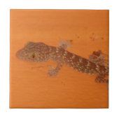 Baby Tokay Gecko Fliese (Vorderseite)