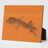 Baby Tokay Gecko Fotoplatte (Seite)