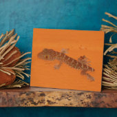 Baby Tokay Gecko Fotoplatte (Seite)