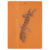 Baby Tokay Gecko Klemmbrett (Rückseite)