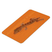 Baby Tokay Gecko Magnet (Linke Seite)