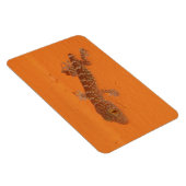 Baby Tokay Gecko Magnet (Rechte Seite)