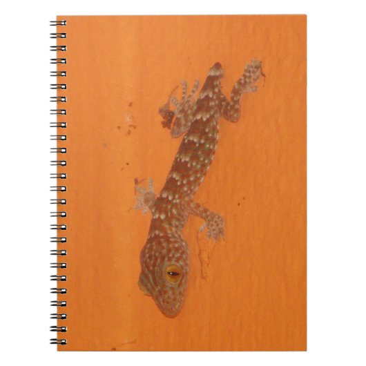 Baby Tokay Gecko Notizblock (Vorderseite)
