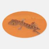 Baby Tokay Gecko Ovaler Aufkleber (Vorderseite)
