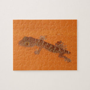Baby Tokay Gecko Puzzle