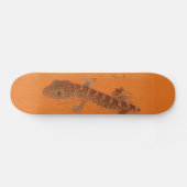 Baby Tokay Gecko Skateboard (Horizontal)