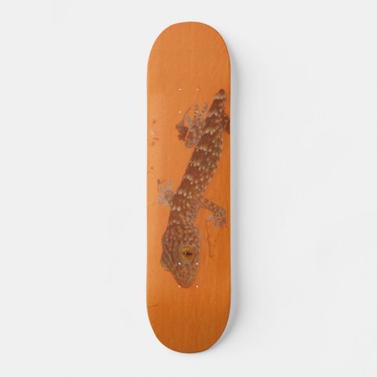 Baby Tokay Gecko Skateboard (Vorderseite)