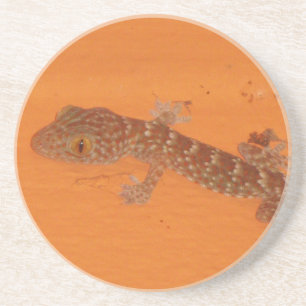 Baby Tokay Gecko Untersetzer