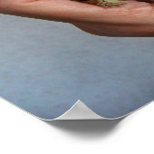 Baby Tortoise Poster (Ecke)