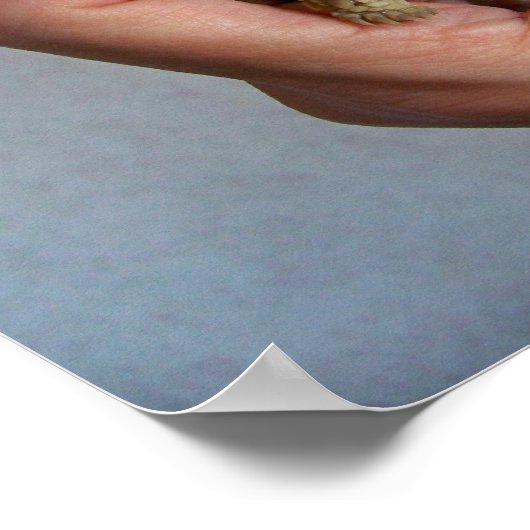 Baby Tortoise Poster (Ecke)