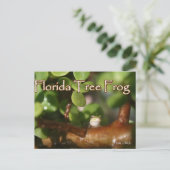Baby Tree Frog in Bonsai Pflanze mit Text Postkarte (Stehend Vorderseite)