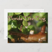 Baby Tree Frog in Bonsai Pflanze mit Text Postkarte (Vorne/Hinten)