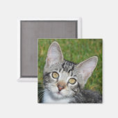 Baby Trinity Magnet (Vorderseite/Rückseite)