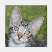 Baby Trinity Magnet (Vorne)