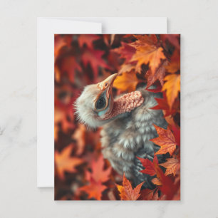 Baby Türkei im Herbst Postkarte