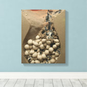 Baby Turtle Eggs Hatching Leinwanddruck (Insitu (Holzboden))