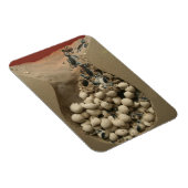Baby Turtle Eggs Hatching Magnet (Rechte Seite)