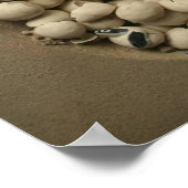 Baby Turtle Eggs Hatching Poster (Ecke)