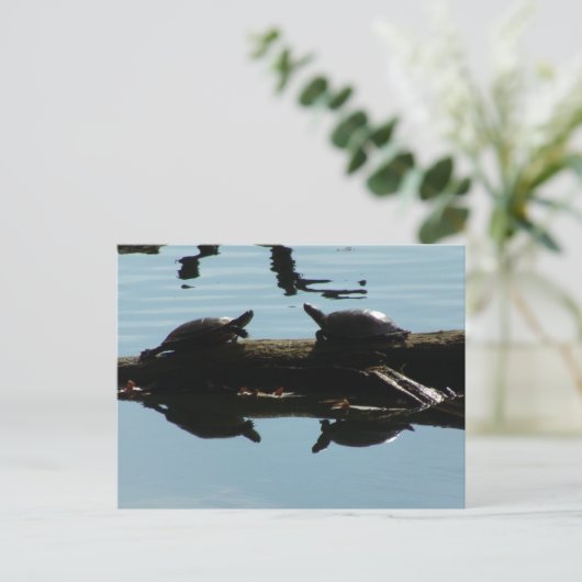 Baby Turtle Friends Postcard Postkarte (Stehend Vorderseite)