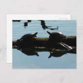 Baby Turtle Friends Postcard Postkarte (Vorne/Hinten)