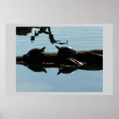 Baby Turtle Friends Poster (Vorne)