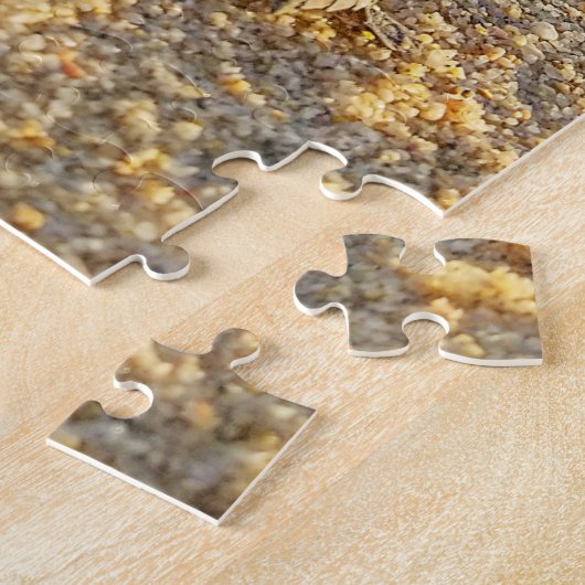 Baby Turtle zu Fuß zum Ozean in Los Cabos Puzzle (Seite)