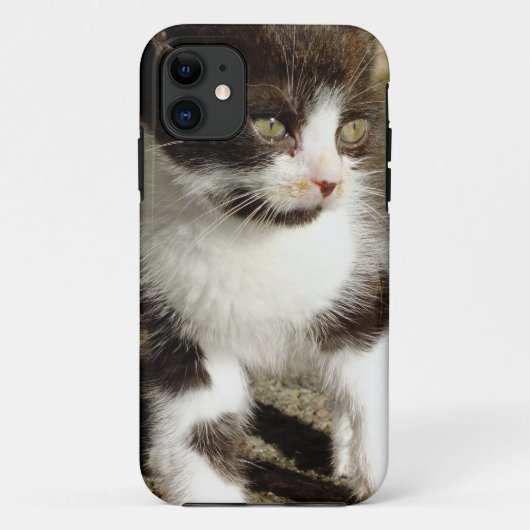 Baby Tuxedo Kitten - Cat iPhone 5 Fall Case-Mate iPhone Hülle (Rückseite)