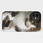 Baby Tuxedo Kitten - Cat iPhone 5 Fall Case-Mate iPhone Hülle (Rückseite (Horizontal))