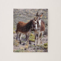 Baby und Mutter Burro