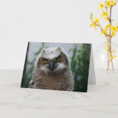 Baby-Virginia-Uhu Karte (Gelbe Blume)