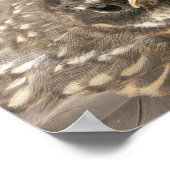 Baby-Vogel Poster (Ecke)