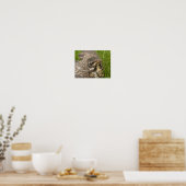 Baby-Vogel Poster (Küche)